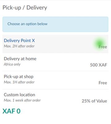 Please choose delivery option