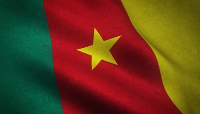 Cameroon flag